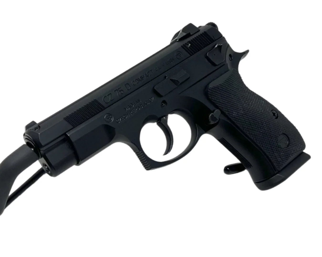 CZ PCR Review
