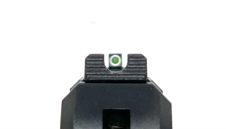 Ruger LCP Max Review 10