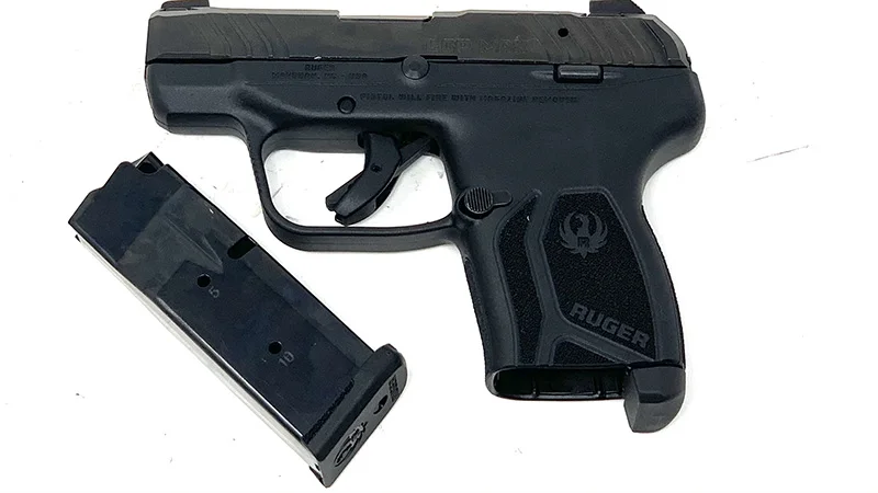Ruger LCP Max Review 19