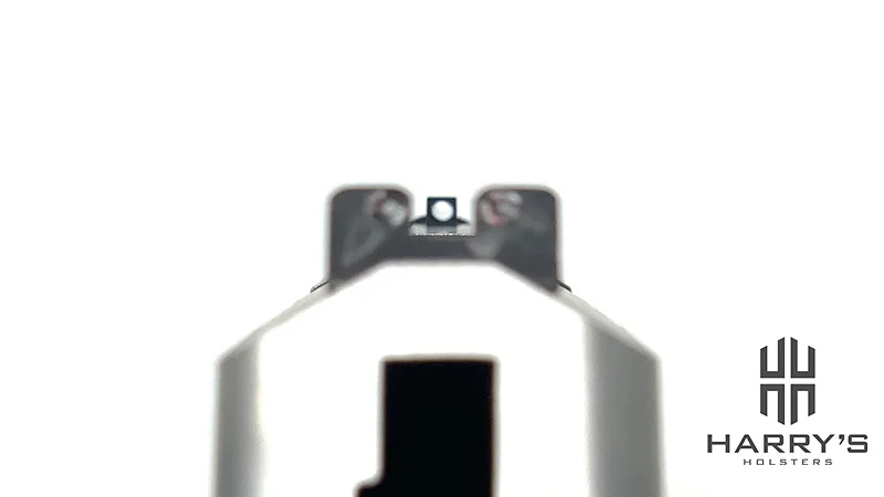 Sccy CPX1 Sight Picture