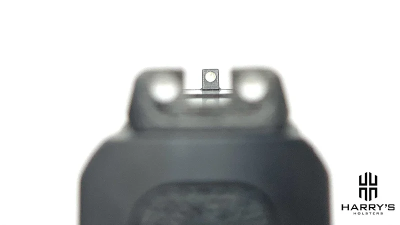 Glock 19 vs SW Shield sight